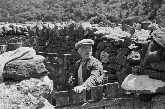 Framed Print : Sheep Shearing In Snowdonia Framed Print : Sheep Shearing In Snowdonia