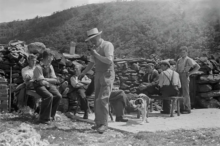 Framed Print : Sheep Shearing In Snowdonia Framed Print : Sheep Shearing In Snowdonia