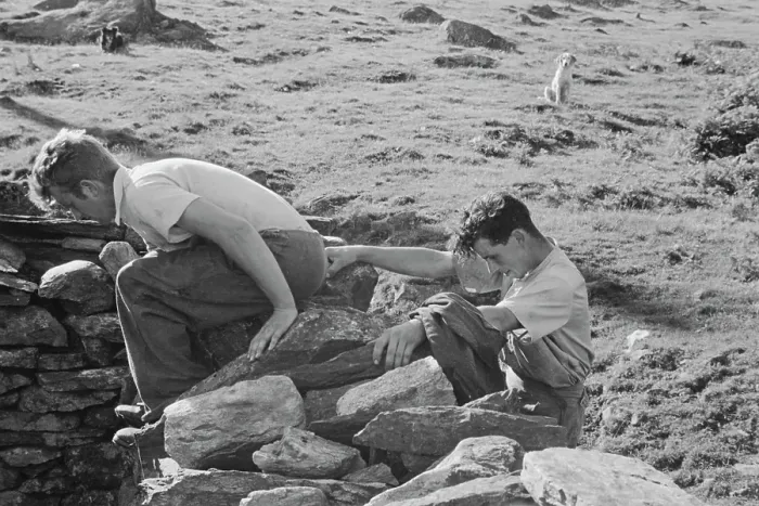 Framed Print : Sheep Shearing In Snowdonia Framed Print : Sheep Shearing In Snowdonia