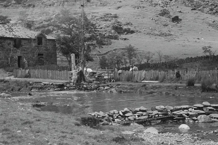Framed Print : Sheep Shearing In Snowdonia Framed Print : Sheep Shearing In Snowdonia