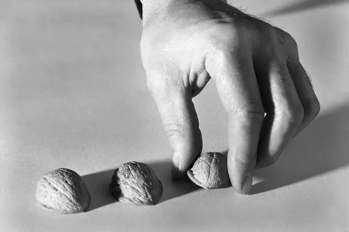 Framed Print : Shell Game