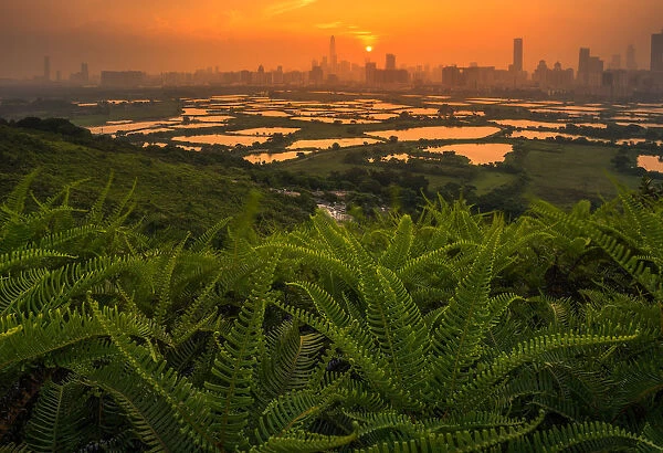 Shenzhen skyline looking from hongkong country side