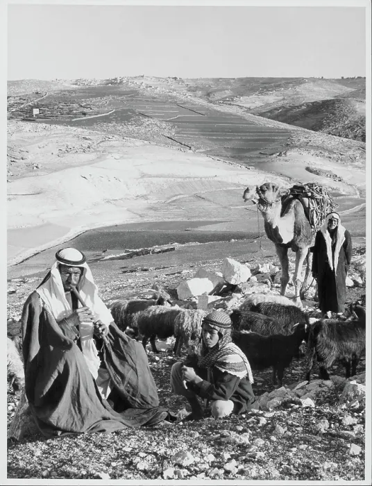Framed Print : Shepherd's Field