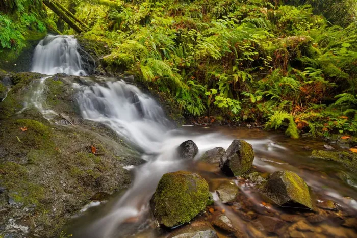 Framed Print : Shepperds Dell Falls at Columbia River Gorge Framed Print : Shepperds Dell Falls at Columbia River Gorge