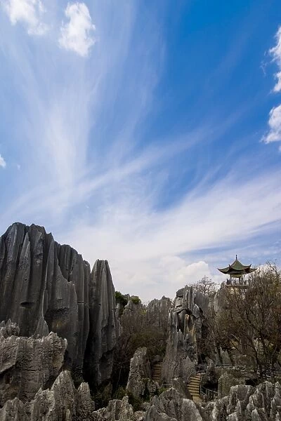 Shilin stone forest