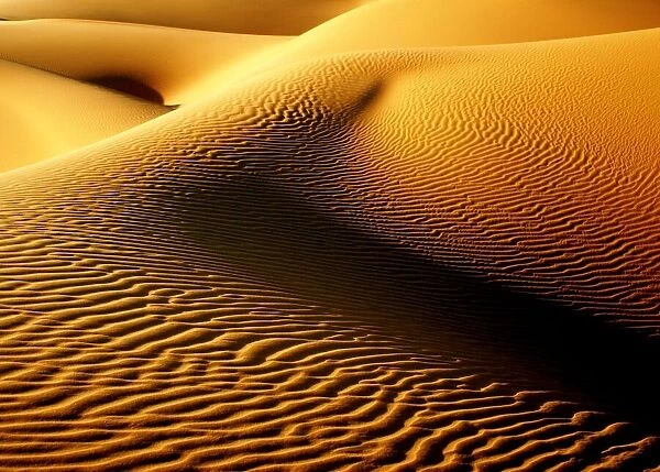 Shimmering Sahara, Libya