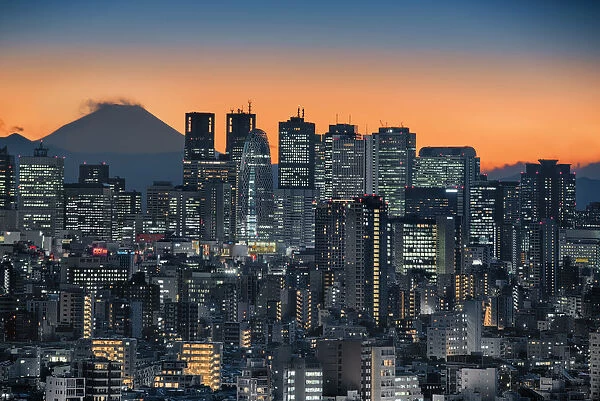 Shinjuku Skyline with Mt Fuji
