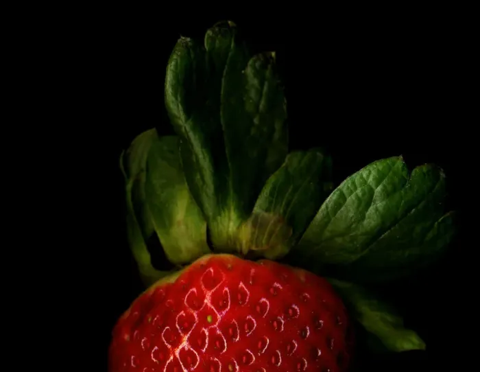 Framed Print : A Shiny-Strawberry