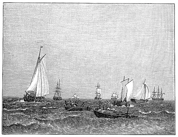 Ships at the port of Copenhagen