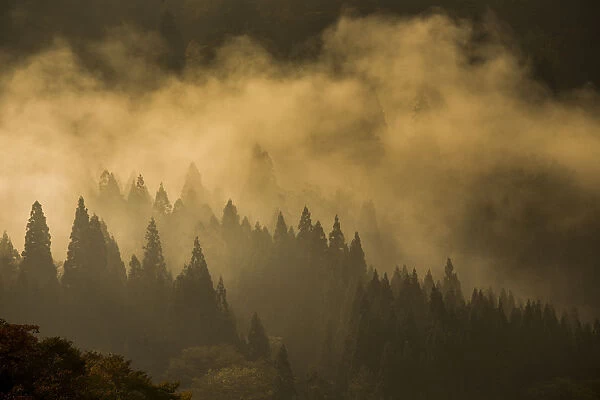 Mist. Shirakawa-go village unesco world heritage. Japan