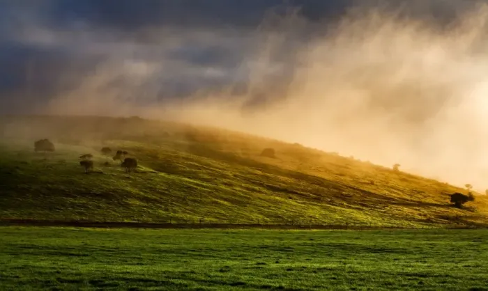 Framed Print : The Shire. Magical lighting conditions bring a dairy farm to life along Framed Print : The Shire. Magical lighting conditions bring a dairy farm to life along