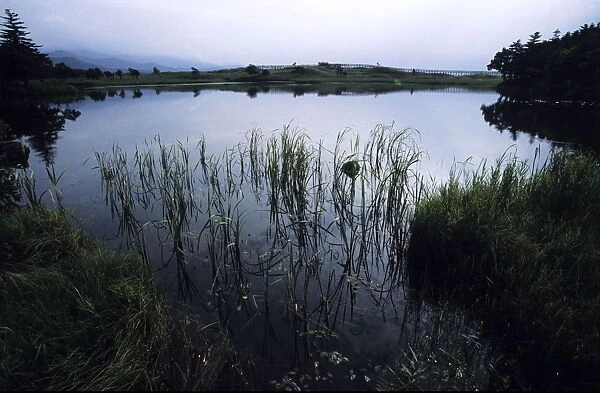 Shiretoko five lakes