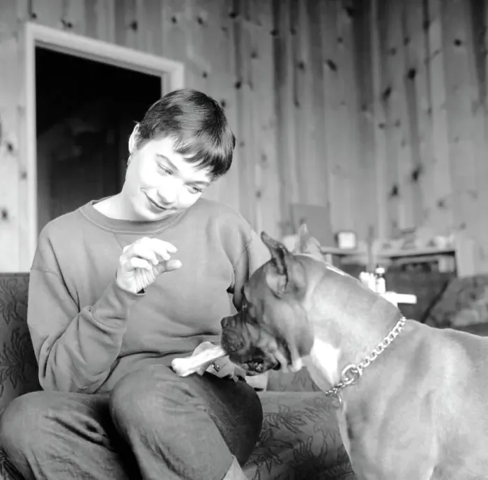 Framed Print : Shirley MacLaine At Home Framed Print : Shirley MacLaine At Home