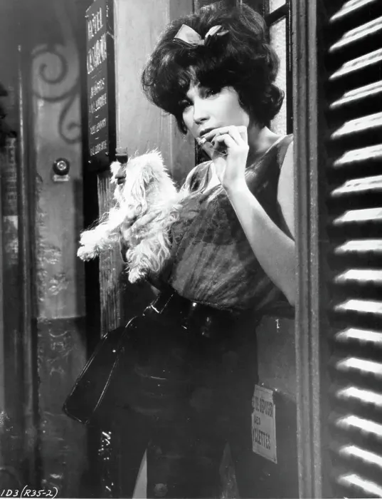 Framed Print : Shirley MacLaine In Irma La Douce Framed Print : Shirley MacLaine In Irma La Douce