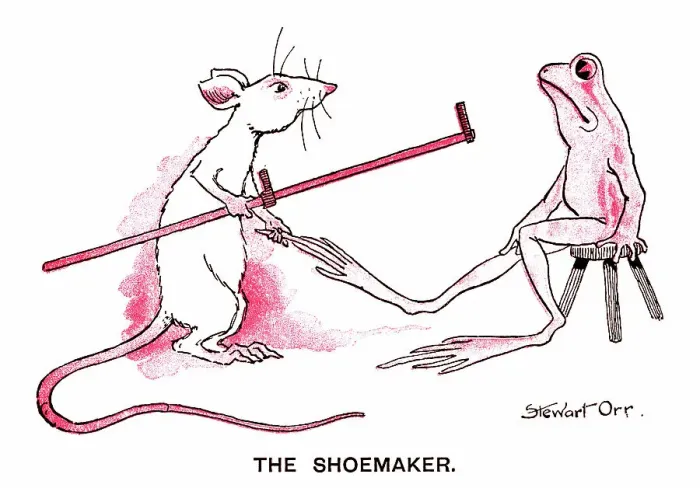 Framed Print : Shoemaker mouse measuring a frog's foot Framed Print : Shoemaker mouse measuring a frog's foot