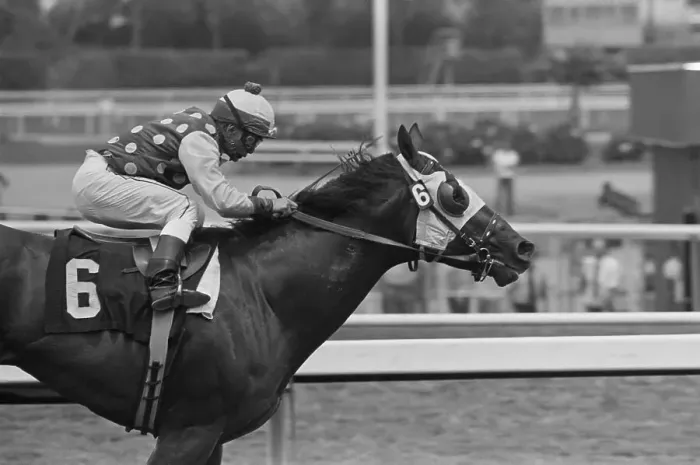 Framed Print : Shoemaker Winning Horse Race Framed Print : Shoemaker Winning Horse Race