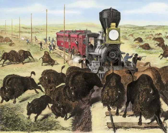 Framed Print : Shooting Buffalo on the Kansas-Pacific Railroad