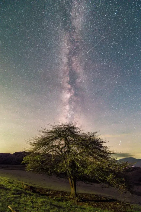 Framed Print : A shooting star Framed Print : A shooting star