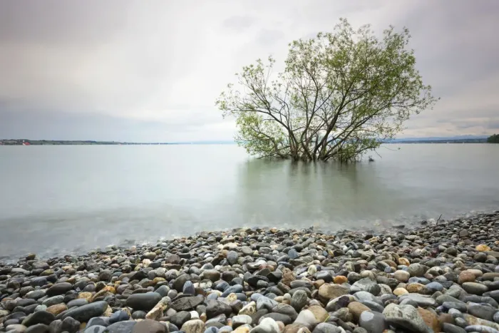 Framed Print : Shore during high waters at Hoernle, Lake Constance, Konstanz, Baden-Wurttemberg, Germany Framed Print : Shore during high waters at Hoernle, Lake Constance, Konstanz, Baden-Wurttemberg, Germany