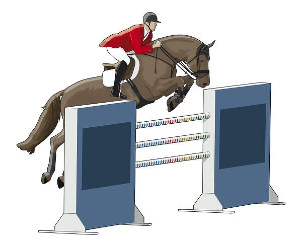 Showjumper jumping over bars