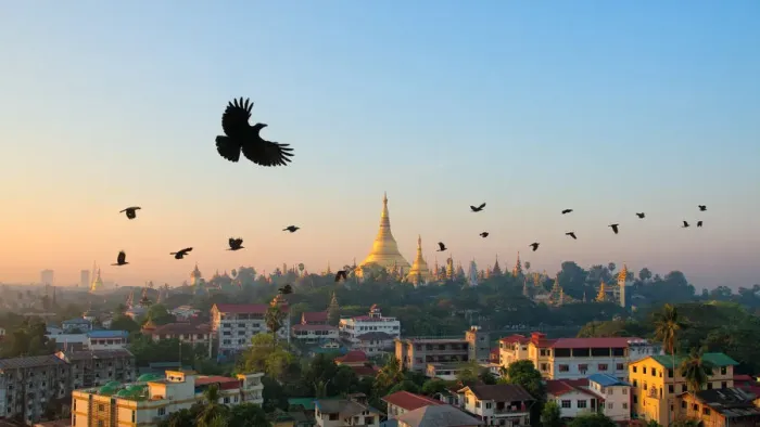 Framed Print : Shwedagon Pagoda and flying crows in the morning, Yangon, Myanmar Framed Print : Shwedagon Pagoda and flying crows in the morning, Yangon, Myanmar
