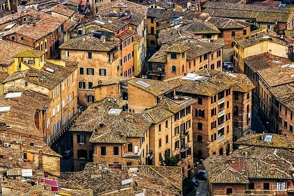 Siena cityscape from above