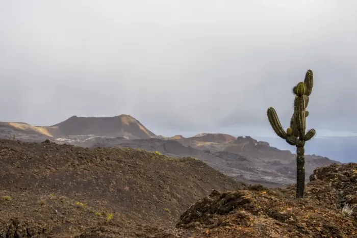 Framed Print : Sierra Negra volcano on Isla Isabela