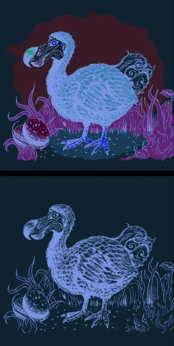 Framed Print : Last Sighting of the Dodo Framed Print : Last Sighting of the Dodo