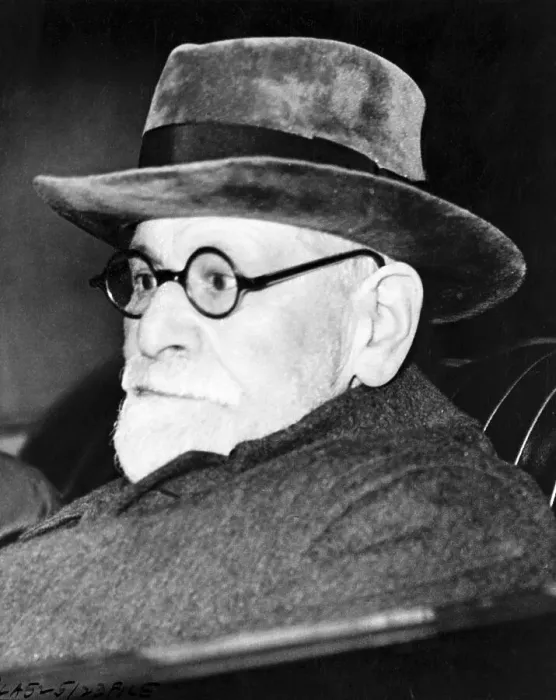 Framed Print : Sigmund Freud Framed Print : Sigmund Freud
