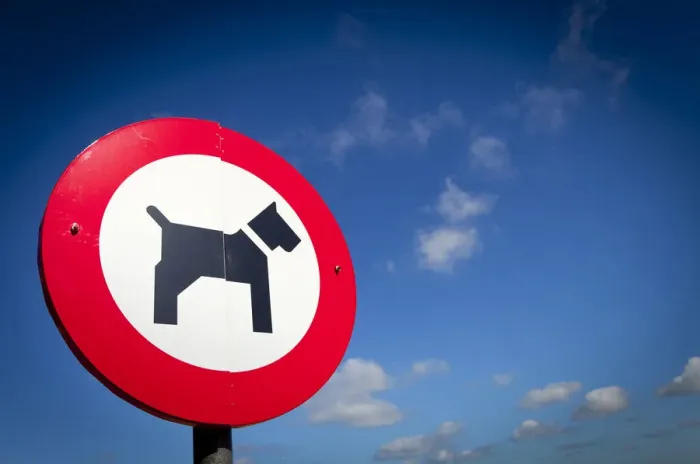 Framed Print : Sign, No dogs, in Ostend beach, Belgium, Europe Framed Print : Sign, No dogs, in Ostend beach, Belgium, Europe