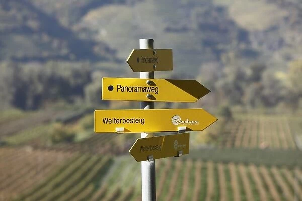 Signpost, hiking trails, Panoramaweg, German for panoramic path and Welterbesteig trail, Rossatz, Wachau valley, Mostviertel region, Lower Austria, Austria, Europe