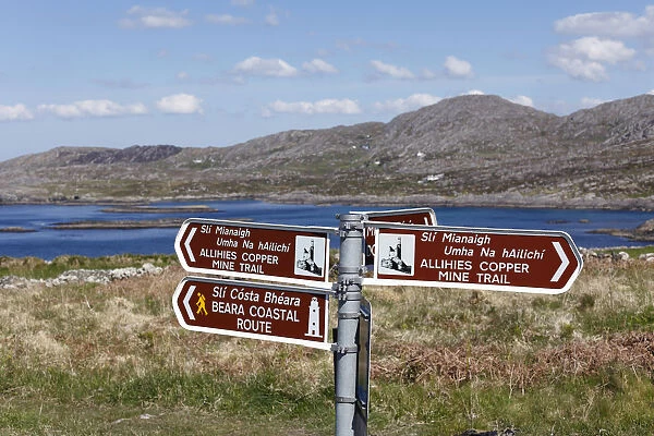 Signpost near Allihies, Slieve Miskish Mountains, Beara Peninsula, County Cork, Ireland, British Isles, Europe