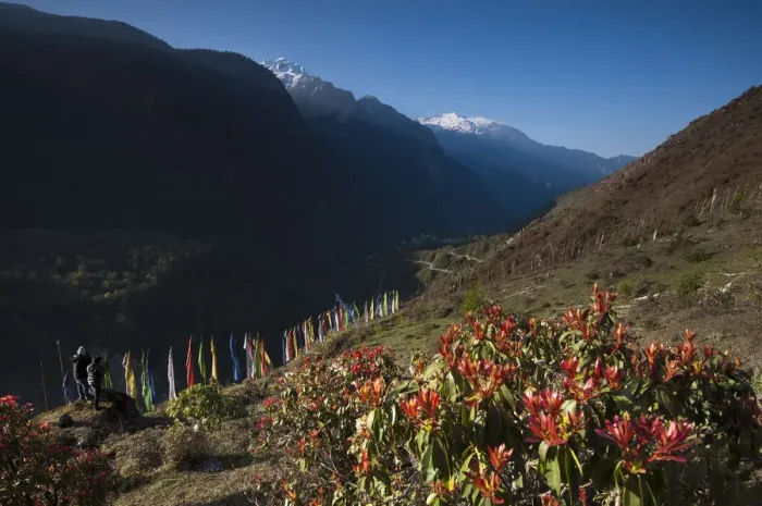 Framed Print : Sikkim in summer season