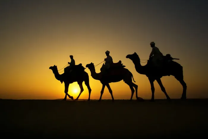 Framed Print : Silhouette of camel caravan at Sam sand dune, Jaisalmer, Rajasthan, India Framed Print : Silhouette of camel caravan at Sam sand dune, Jaisalmer, Rajasthan, India