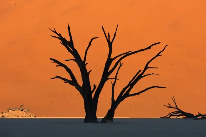 Framed Print : Silhouetted dead Acacia tree with red sand dunes at Dead Vlei, Namibia Framed Print : Silhouetted dead Acacia tree with red sand dunes at Dead Vlei, Namibia