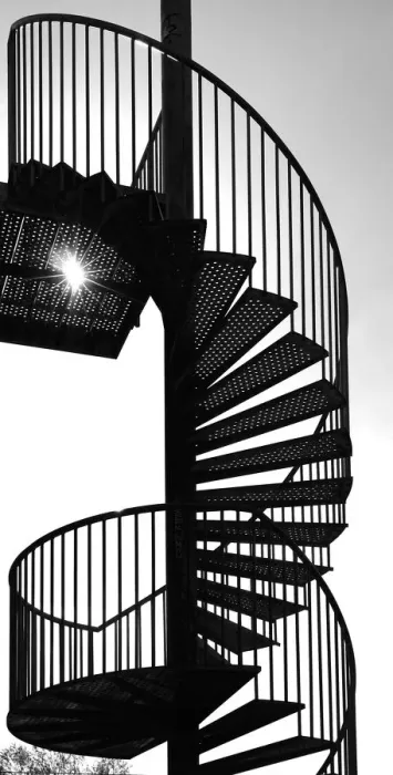 Framed Print : Silhouettes Framed Print : Silhouettes