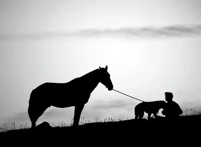 Framed Print : silhouettes Framed Print : silhouettes