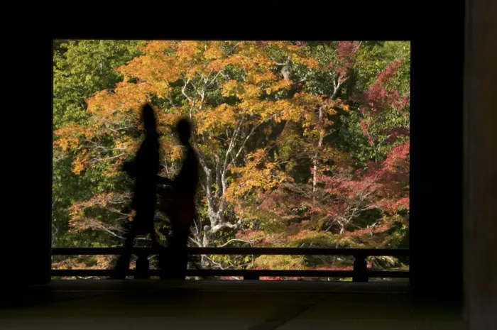 Framed Print : Silhouettes of visitors during fall colour festival, Kyoto, Honshu, Japan