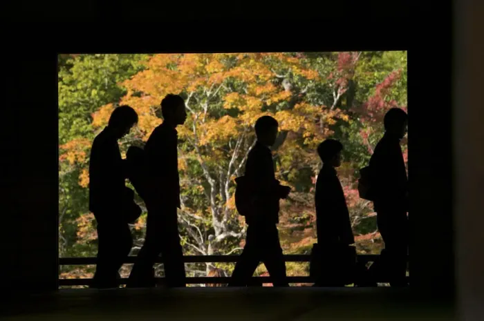 Framed Print : Silhouettes of visitors during fall colour festival, Kyoto, Honshu, Japan