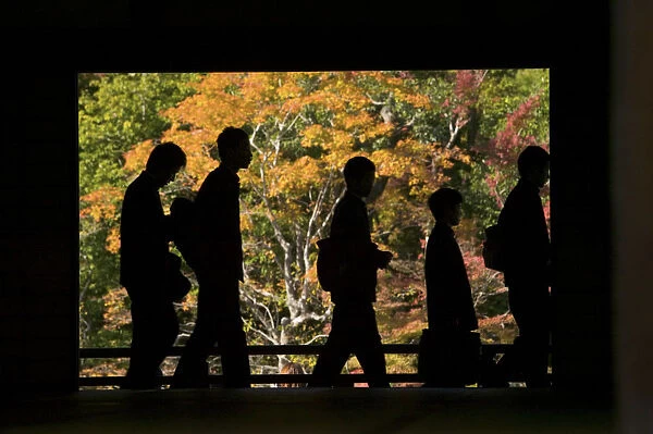 Silhouettes of visitors during fall colour festival, Kyoto, Honshu, Japan
