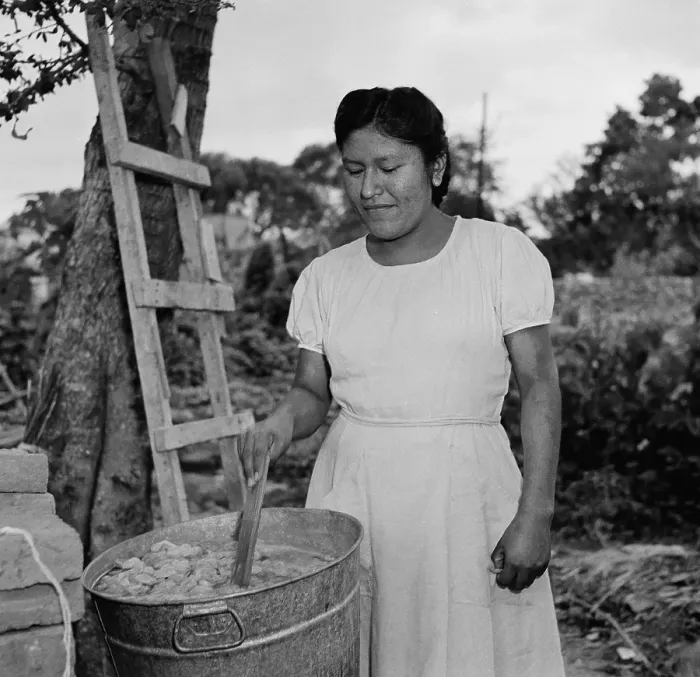 Framed Print : Silk farming in Jalisco, Mexico Framed Print : Silk farming in Jalisco, Mexico