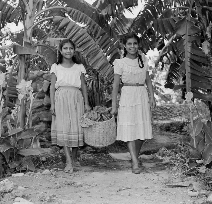 Framed Print : Silk farming in Jalisco, Mexico Framed Print : Silk farming in Jalisco, Mexico