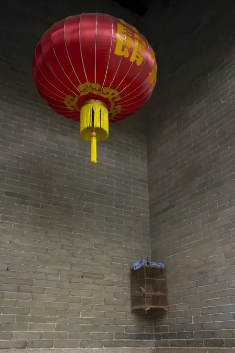 Framed Print : Silk lantern