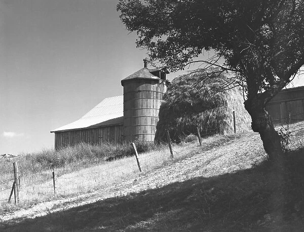 Silo, barn and haystack, (B&W)