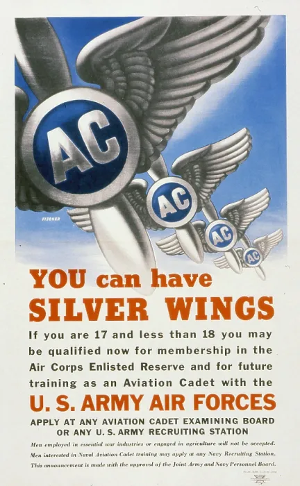 Framed Print : You Can Have Silver Wings Framed Print : You Can Have Silver Wings