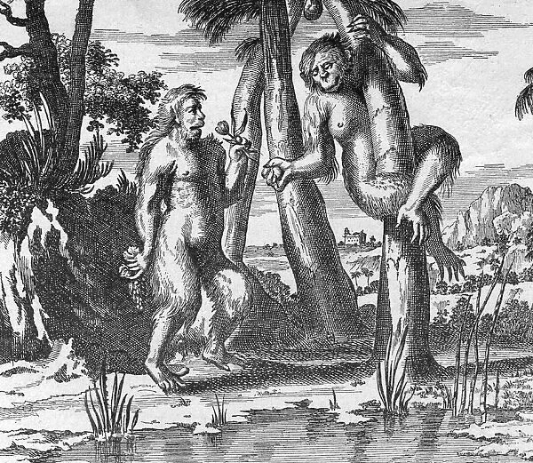 Simian Adam And Eve
