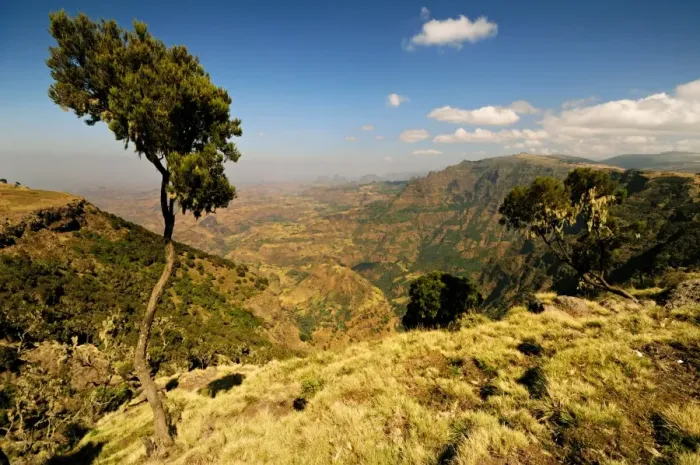 Framed Print : Simien National Park Framed Print : Simien National Park