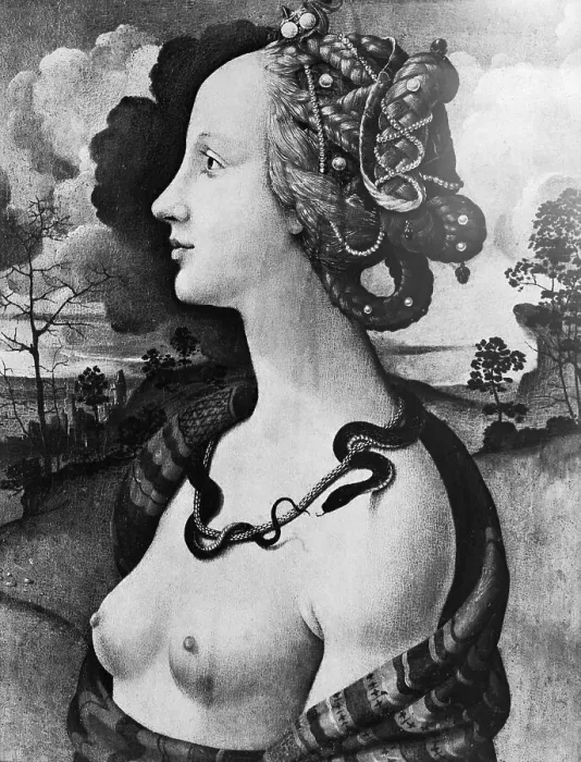 Framed Print : Simoneta Vespucci by Pietro di Cosimo Framed Print : Simoneta Vespucci by Pietro di Cosimo