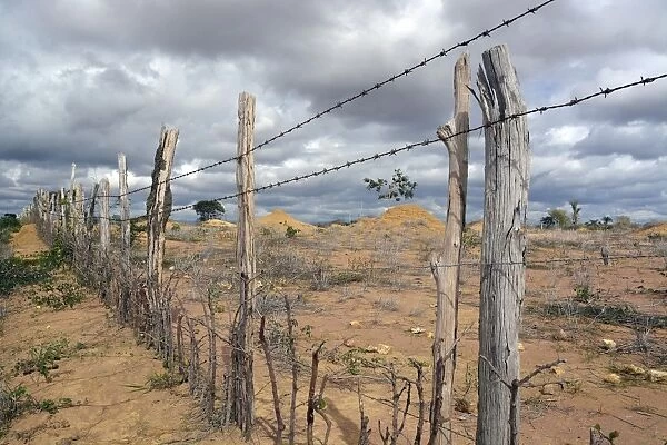 Simple barbed wire fence at a barren pasture, Lencois, Bahia, Brazil
