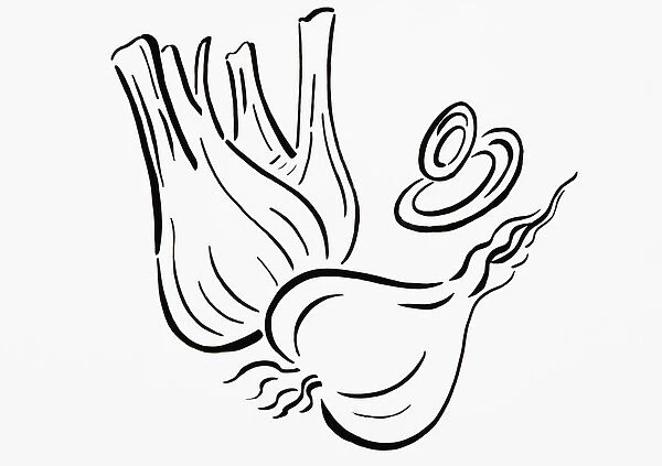 Simple black and white drawing of onions